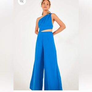 Farm Rio Blue Jumpsuit